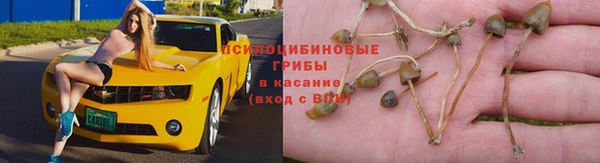 MESCALINE Михайловск