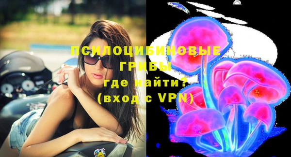 гидропоника Анжеро-Судженск