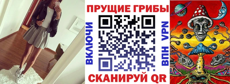 Галлюциногенные грибы Psilocybine cubensis  Минусинск 