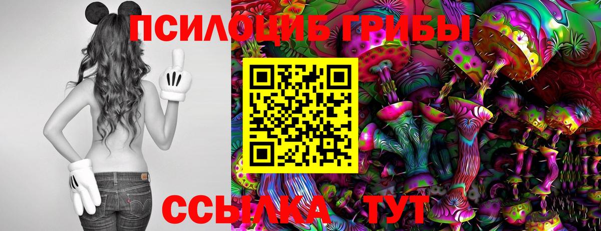 Псилоцибиновые грибы прущие грибы  наркотики  Минусинск 