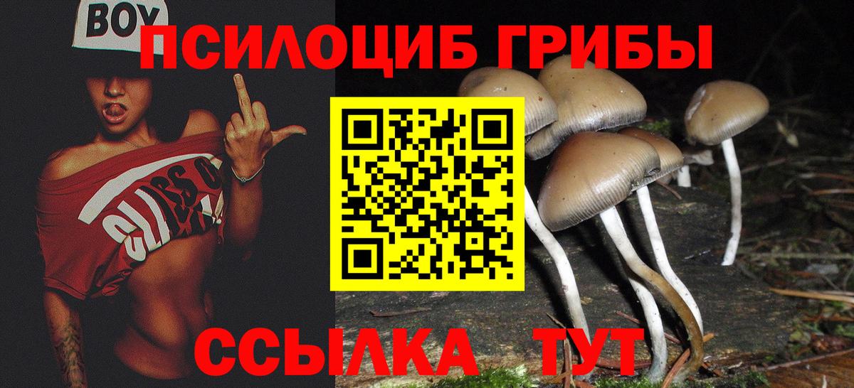 Псилоцибиновые грибы MAGIC MUSHROOMS Минусинск