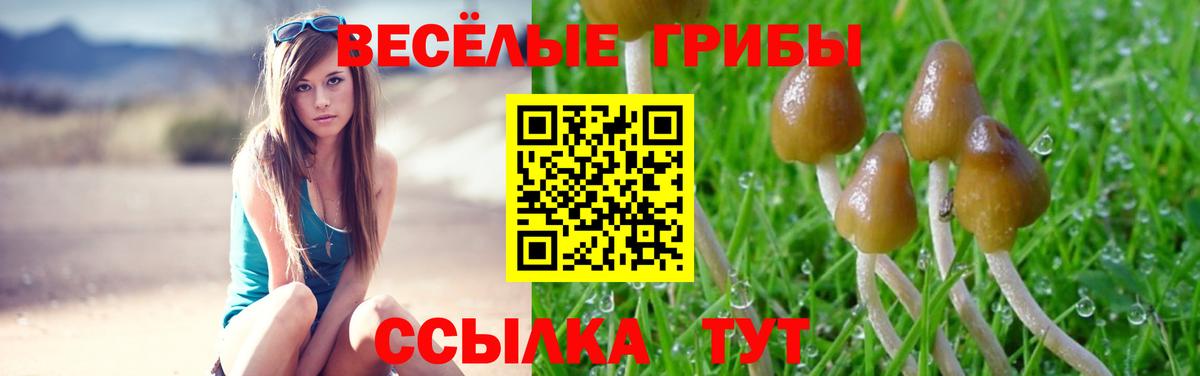 Галлюциногенные грибы мухоморы Минусинск